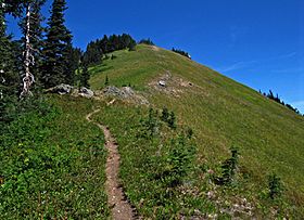 Tatoosh trail