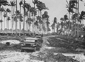 Trucks at Arawe