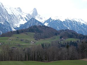 Zwieselberg und Stockhorn