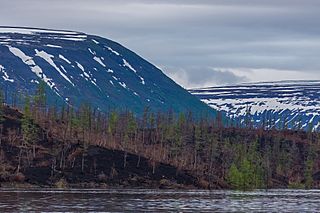 Весенние снежники