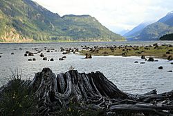 2015-05-05 Buttle Lake 5182