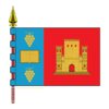 Flag of Monterrei