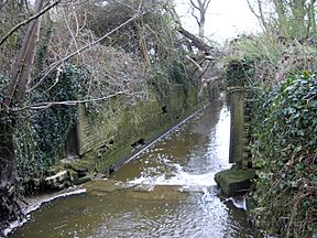 Baybridge Old Lock geograph 530668.jpg