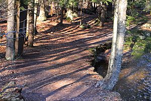 Beginning of the Falls Trail