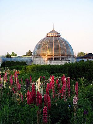 Belle Isle Whitcomb Conservatory.jpg