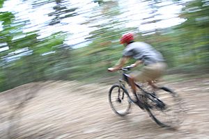 Bike rider on the OG trail - Carvins Cove, Virginia