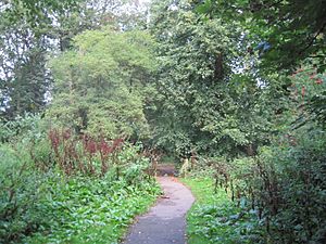 Brent Park path