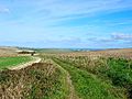 Bridleway, Falmer Hill - geograph.org.uk - 62988