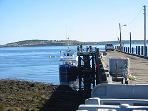 Brier island pier