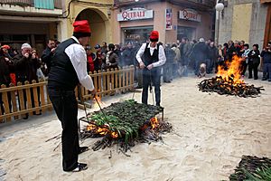 Calçotada a Valls (Catalonia)