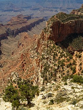 Cape Royal, Grand Canyon. 33.jpg