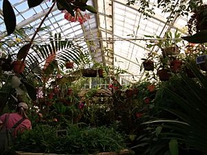 Conservatory of Flowers Lowlands