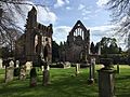 Dryburgh Abbey spring