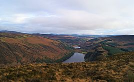 Glendalough lugduff