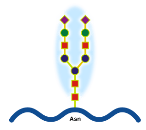 Glicoprotein