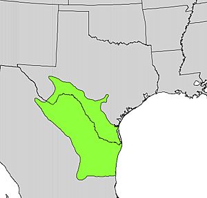 Guaiacum angustifolium range map.jpg