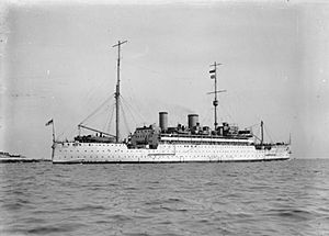 HMS Medway IWM Q 65758.jpg