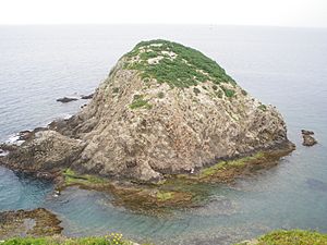 The island