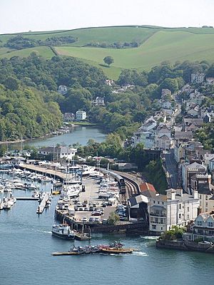 Kingswear railway station from above