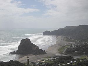 Lion rock piha