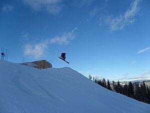 Log Cabin Jump Maverick MT