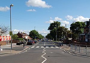 Middleton Park Ave.JPG