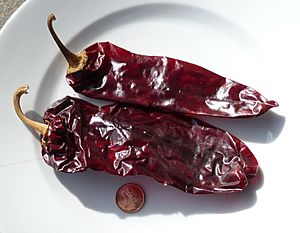 Newmexicochiles