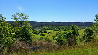 Overlook of Minmi bush land