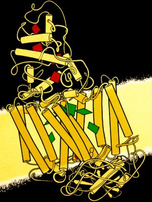 Photosynthetic Reaction Center Drawing