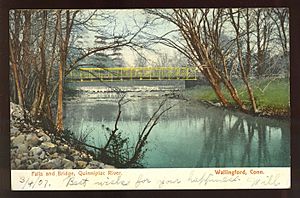 PostcardQuinniipiacRiverBridgeWallingfordCT1907