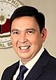 Sen Ralph Recto.jpg