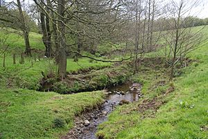 Stydd Brook