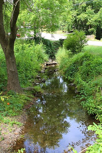 Swale Brook 1.jpg