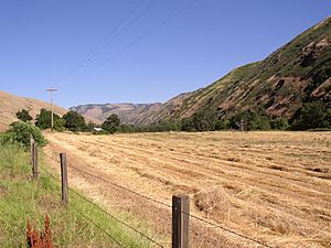 Valley-of-North-Fork-WallaWalla