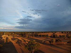 Warren NSW, entrance coming from Nevertire