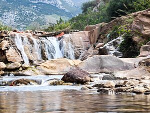 Zerka in Tetouan Province