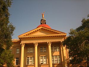 Bee County Courthouse in Beeville, TX IMG 0981