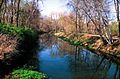 Blackstonecanalandtowpath