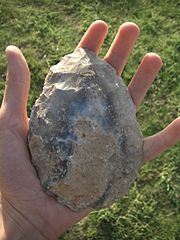 Boxgrove handaxe