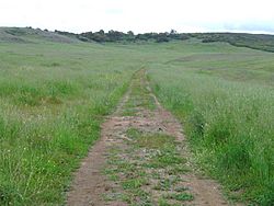 Bunchgrass prairie SRP