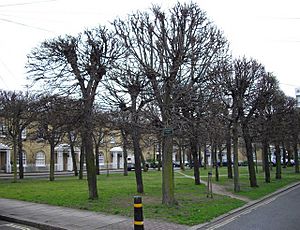 Courtenay Square - geograph.org.uk - 1182357