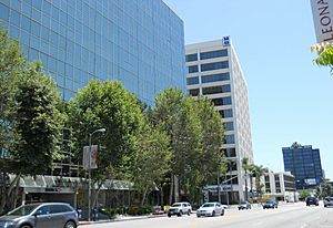 Financial Institutions, Ventura Blvd., Encino