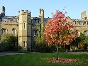 Gisborne Court. Peterhouse