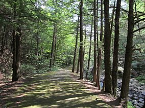 Granville State Forest,Granville MA.jpg