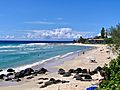 Greenmount Beach seen from Greenmount Hill, Coolangatta, Queensland