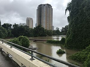 Hurricane Harvey (36561871944)