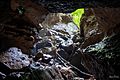 Looking out of Ellison’s Cave