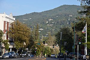 Main Street Los Gatos