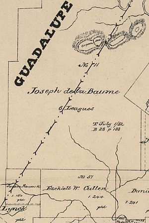 Map of Leesville, Texas