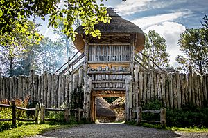 Medieval Ringfort